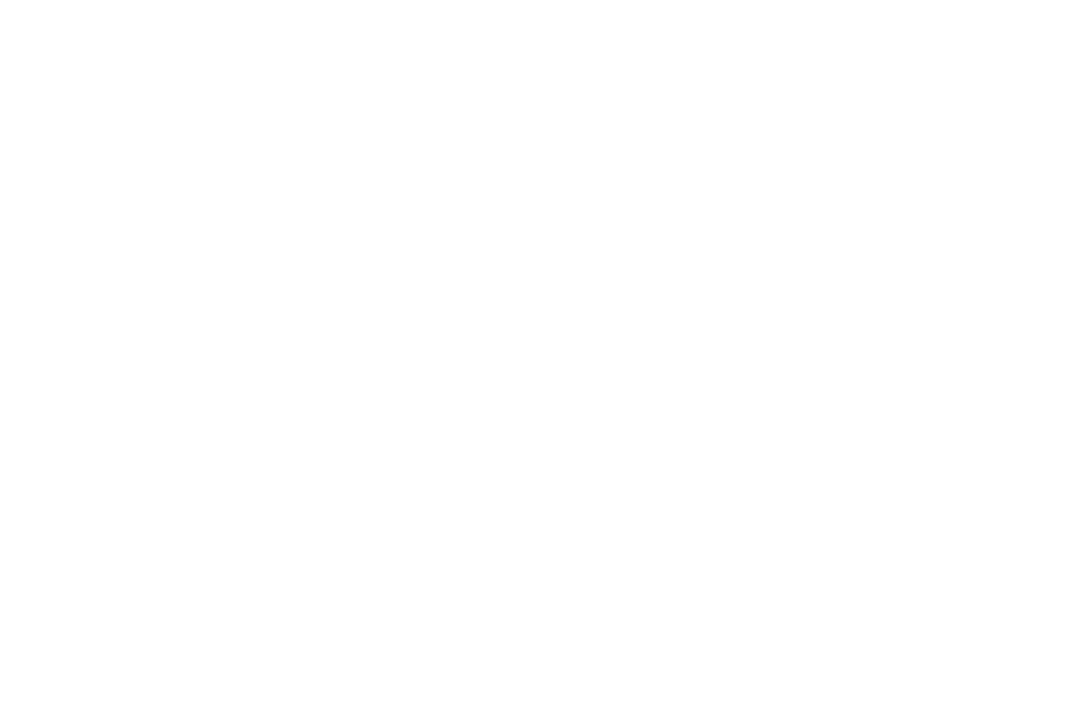 Logo Nicolas Fayet